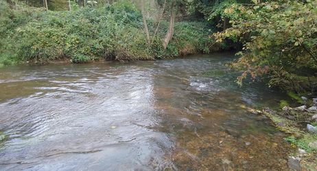 Assemblée Générale - AAPPMA de BIENVILLE