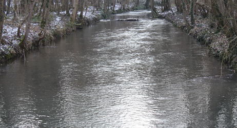 Assemblée Générale - AAPPMA d'ETOUY