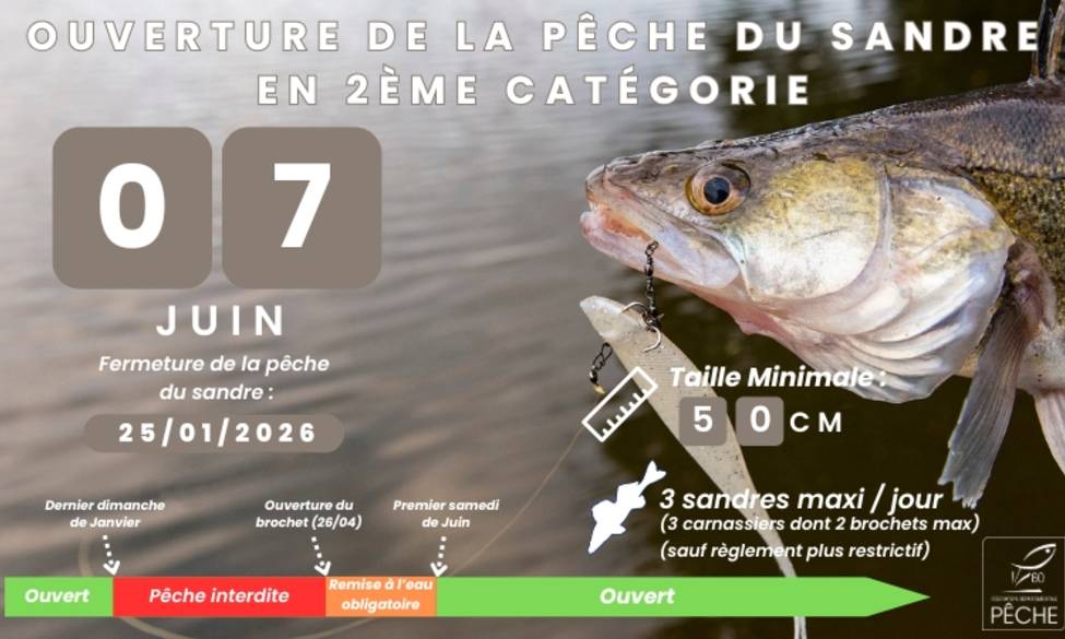 Ouverture de la pêche du sandre en 2ème catégorie