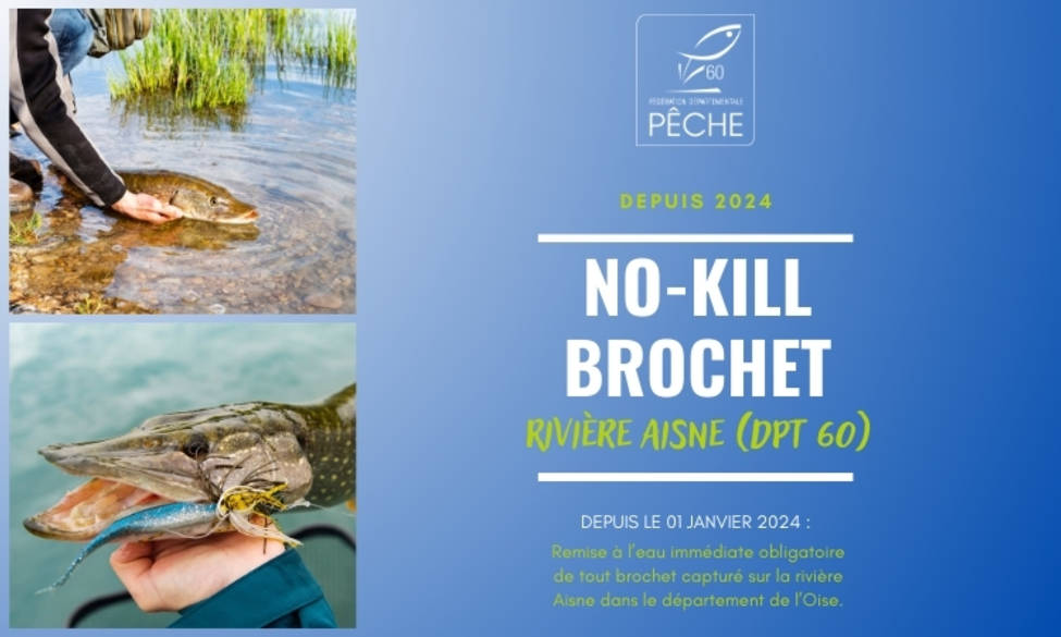 No Kill Brochet Aisne