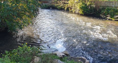 Assemblée Générale - AAPPMA de LAIGNEVILLE