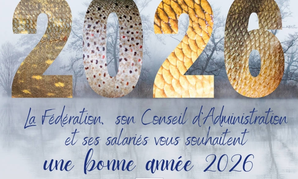 Bonne année 2026