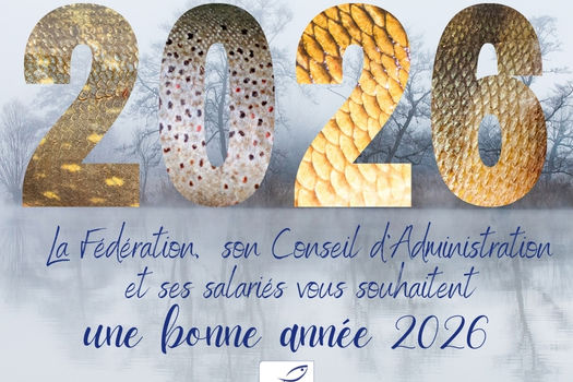 Bonne année 2026
