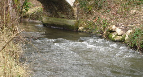Assemblée Générale - AAPPMA d'ORROUY