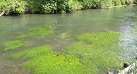 Assemblée Générale - AAPPMA de BREUIL LE VERT