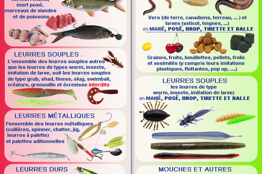 Fermeture de la pêche du brochet et du sandre