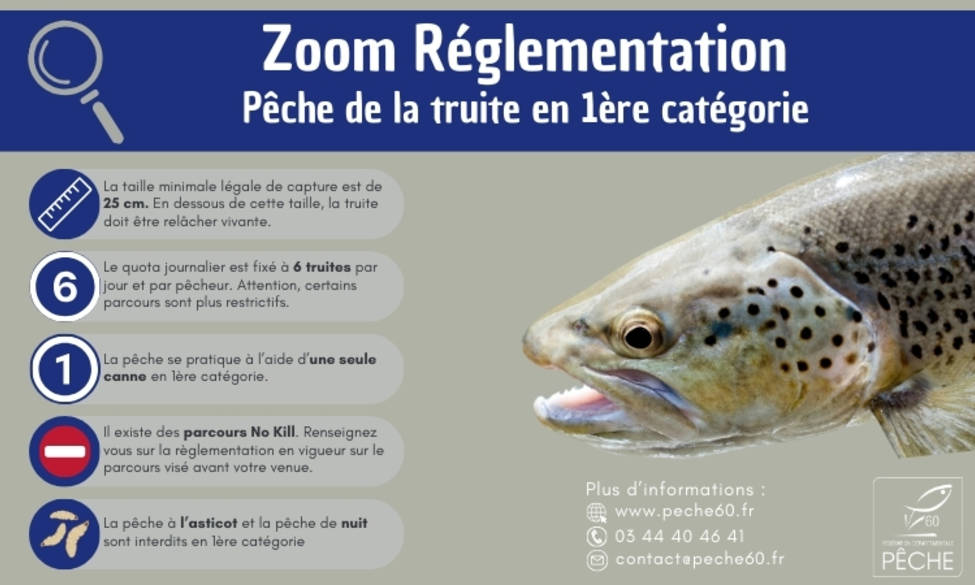 Zoom Réglementation Truite